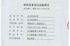 特種設(shè)備型式試驗(yàn)報(bào)告-有縫彎頭